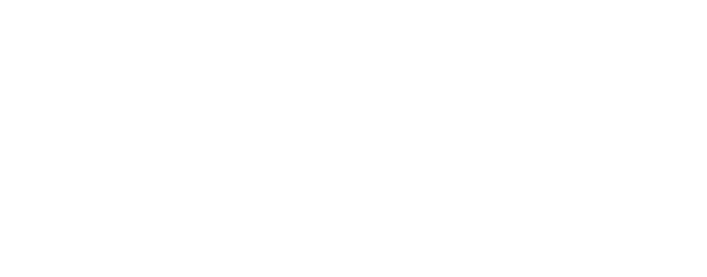 Palmier Paillettes